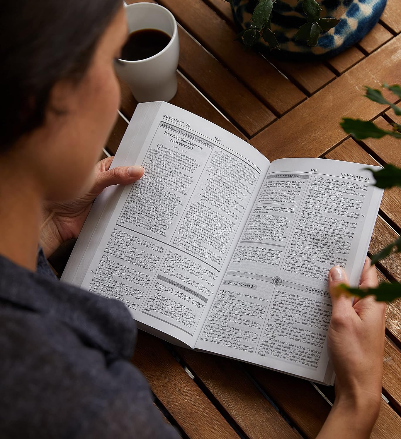 NASB, Charles F. Stanley Life Principles Daily Bible